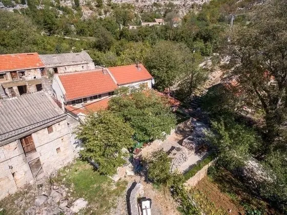 Ev (Role - retro & afordable - H(2+2))