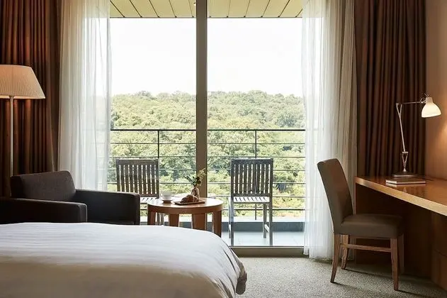 Deluxe İki Ayrı Yataklı Oda (Bed & Breakfast PKG, Korean Only)