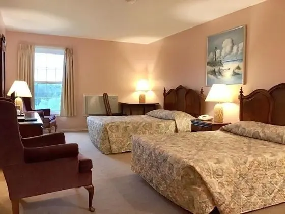 Basic Tek Büyük Yataklı Oda