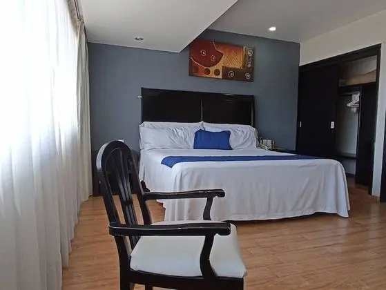 Standard Tek Büyük Yataklı Oda, 1 En Büyük (King) Boy Yatak