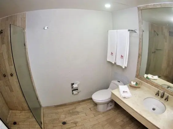 Standard Tek Büyük Yataklı Oda, 1 En Büyük (King) Boy Yatak