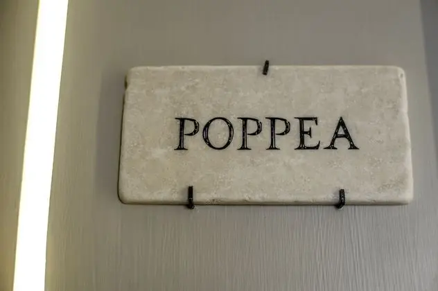 Superior Tek Büyük veya İki Ayrı Yataklı Oda, Özel Banyo