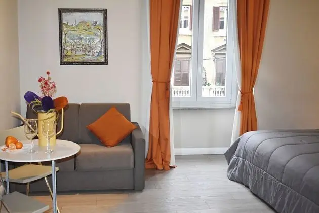 Superior Tek Büyük veya İki Ayrı Yataklı Oda, Özel Banyo