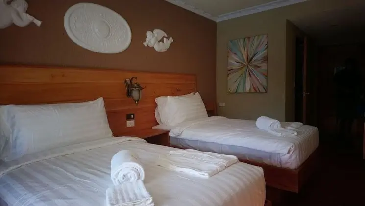 Deluxe İki Ayrı Yataklı Oda, Birden Çok Yatak, Sigara İçilmez, Havuz Kullanımı