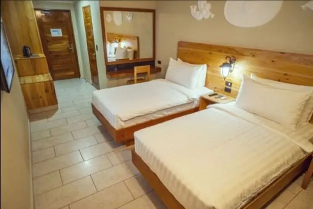 Deluxe İki Ayrı Yataklı Oda, Birden Çok Yatak, Sigara İçilmez, Havuz Kullanımı
