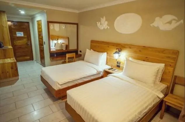 Deluxe İki Ayrı Yataklı Oda, Birden Çok Yatak, Sigara İçilmez, Havuz Kullanımı