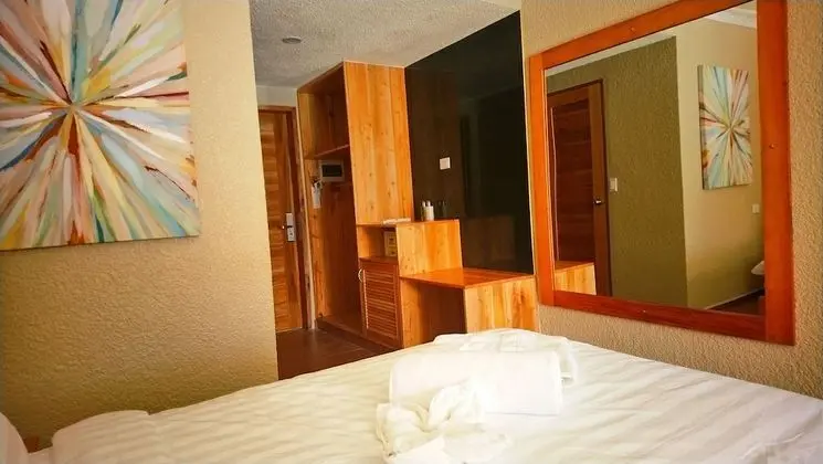 Deluxe Tek Büyük Yataklı Oda, 1 En Büyük (King) Boy Yatak, Sigara İçilmez, Havuz Kullanımı