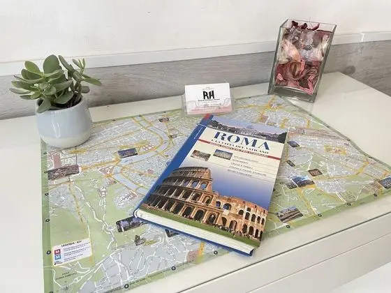 Standard Tek Büyük Yataklı Oda, Banyolu/Duşlu