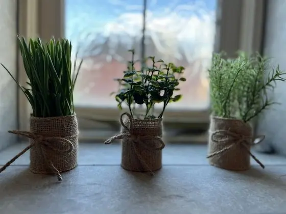 Apart Daire, Özel Banyo, Bahçe Manzaralı