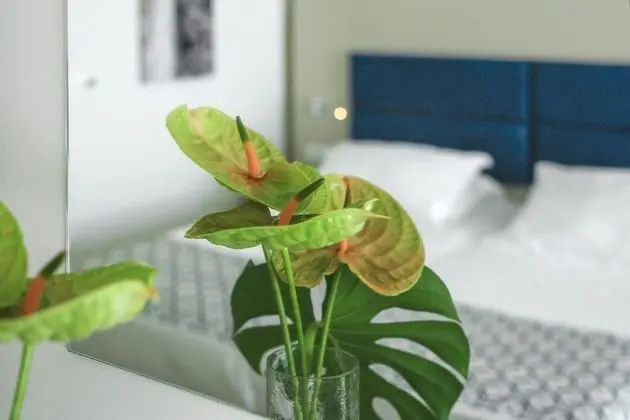 Superior Suite with Sea View