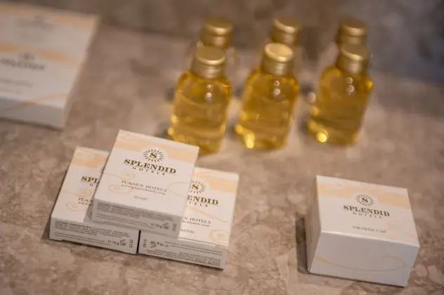 Deluxe Süit, Bahçe Manzaralı