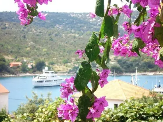 Apart Daire, 1 Yatak Odası, Balkon