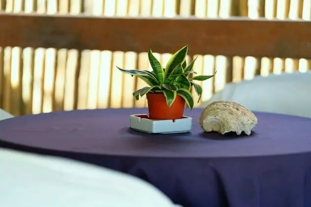 Ocean View Room