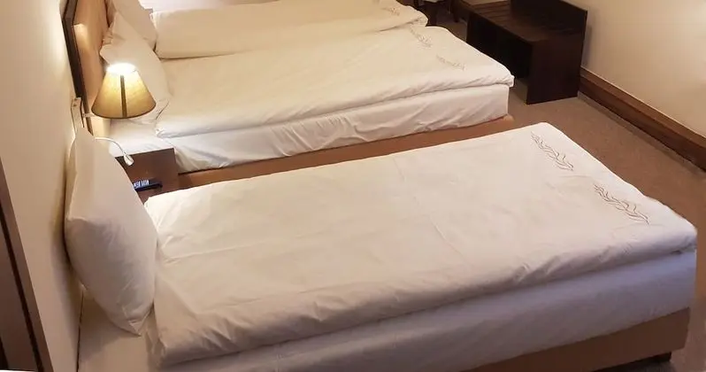Economy Üç Kişilik Oda