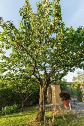 Villa, Sigara İçilebilir