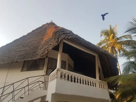 Oda, 1 Yatak Odası, Balkon