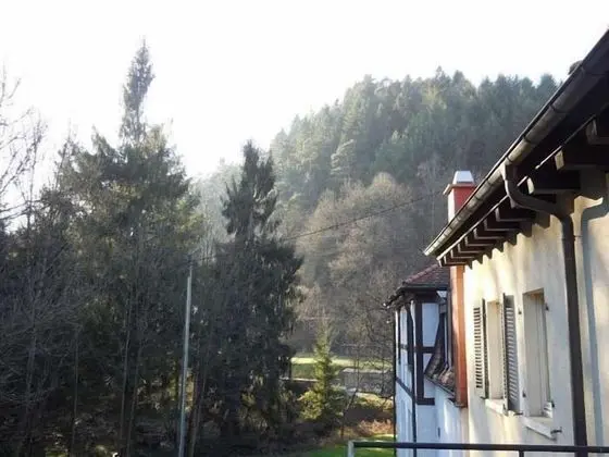 Comfort Tek Büyük Yataklı Oda (Balcony/Terrace)