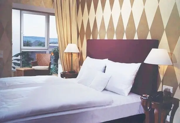 Superior Tek Büyük veya İki Ayrı Yataklı Oda