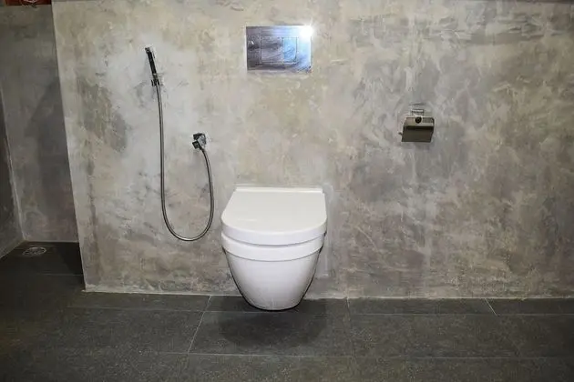 Deluxe Tek Büyük Yataklı Oda, 1 En Büyük (King) Boy Yatak