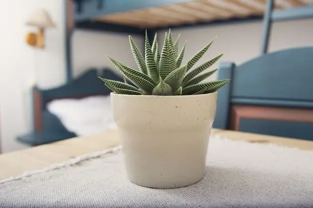 Grand Apart Daire, Birden Çok Yatak Odası, Özel Banyo