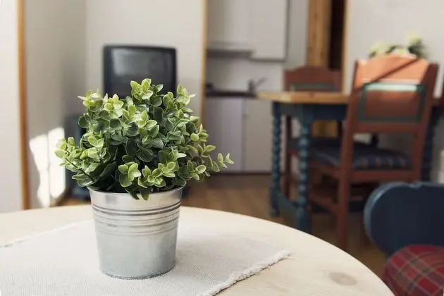 Grand Apart Daire, Birden Çok Yatak Odası, Özel Banyo