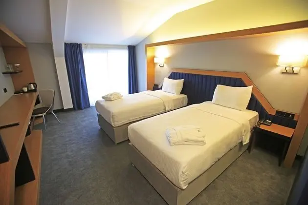 Deluxe Tek Büyük veya İki Ayrı Yataklı Oda, 1 Yatak Odası, Balkon, Şehir Manzaralı