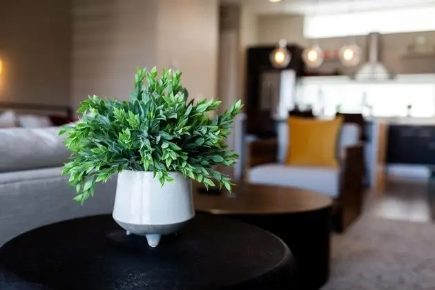 Ev, Birden Çok Yatak (Roof Deck Walk to Parks and St Joseph)