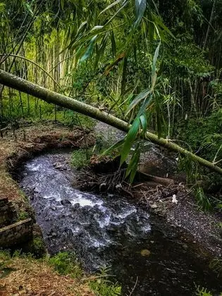 Oda, 1 Yatak Odası, Engellilere Uygun, Sigara İçilebilir