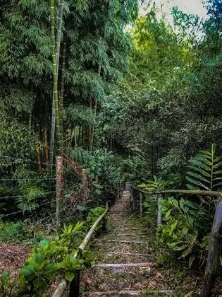 Oda, 1 Yatak Odası, Engellilere Uygun, Sigara İçilebilir