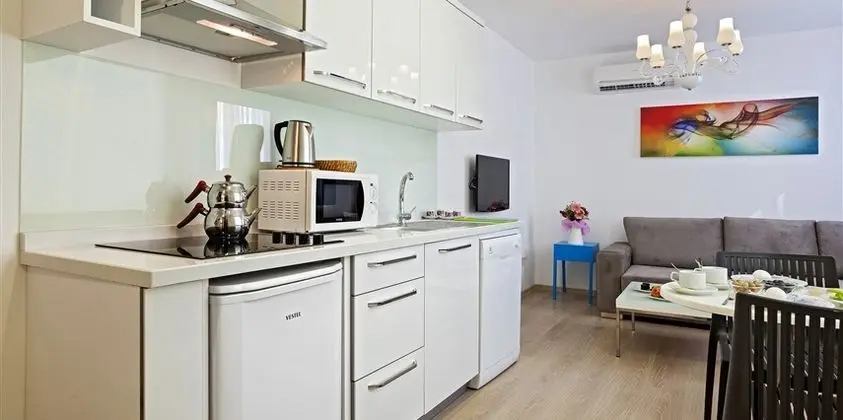 1+1 Standard Modern Apart