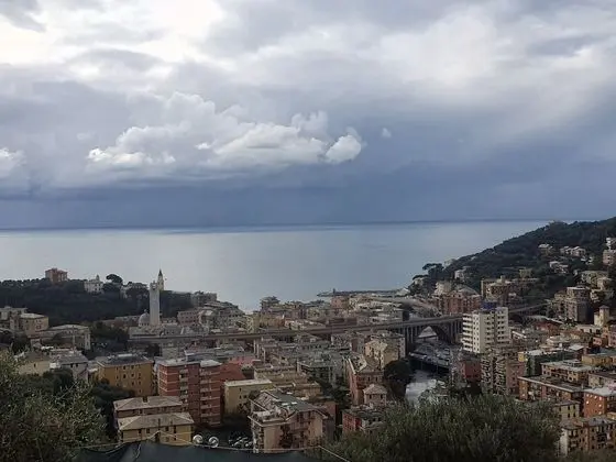 Luxury Tek Büyük Yataklı Oda (Balin)