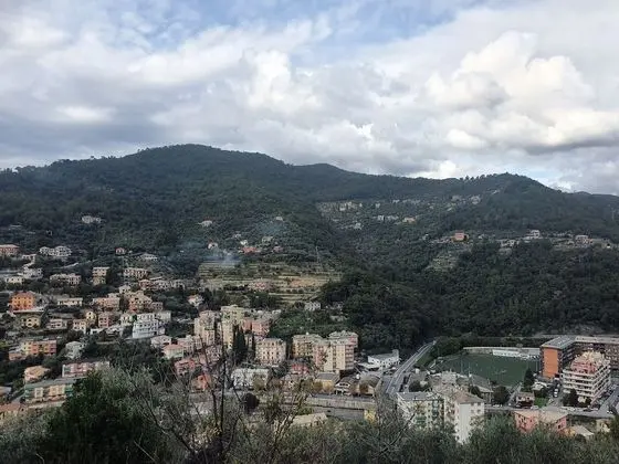 Tek Büyük Yataklı Oda (Lalla Giulia)