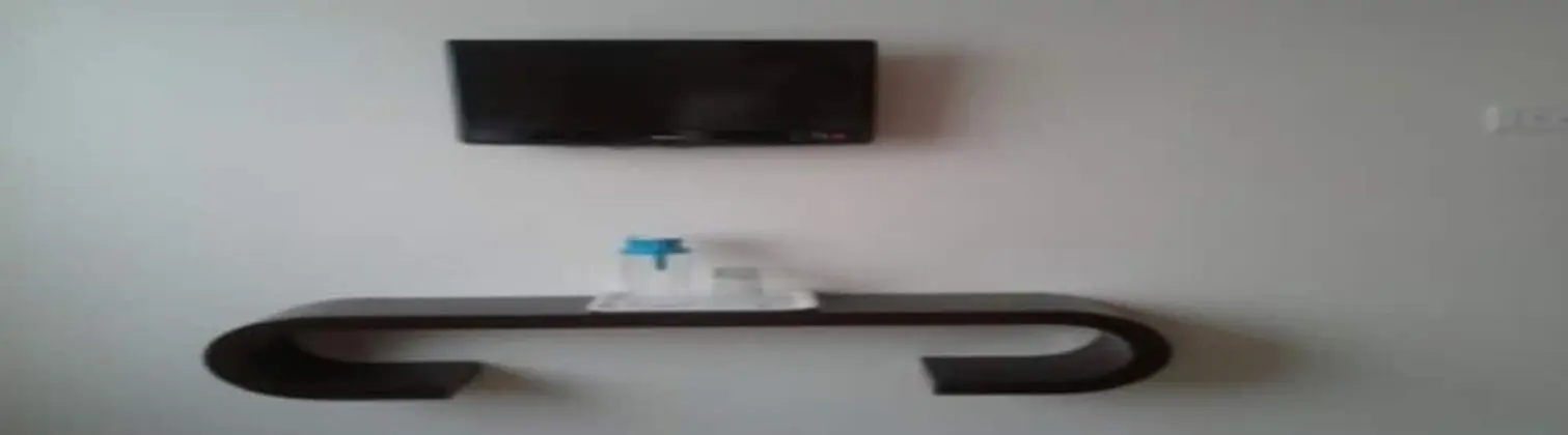 Deluxe Tek Büyük veya İki Ayrı Yataklı Oda, Sigara İçilmez, Özel Banyo