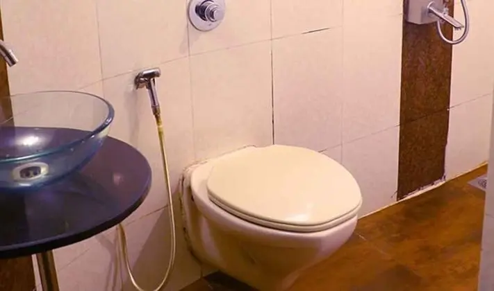 Deluxe Tek Büyük Yataklı Oda, Sigara İçilmez