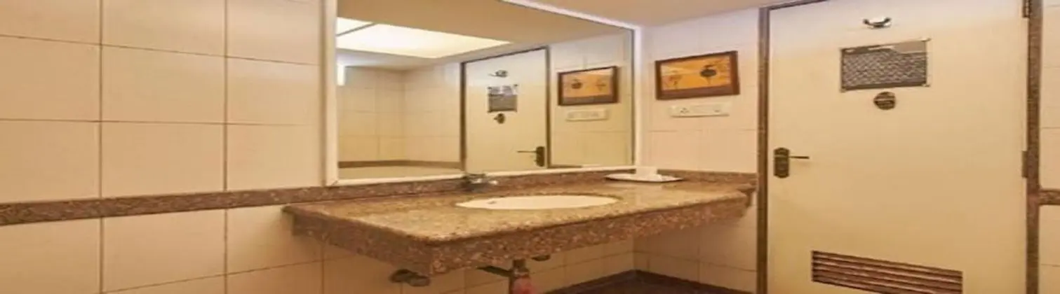 Deluxe Tek Büyük veya İki Ayrı Yataklı Oda, Sigara İçilmez, Özel Banyo
