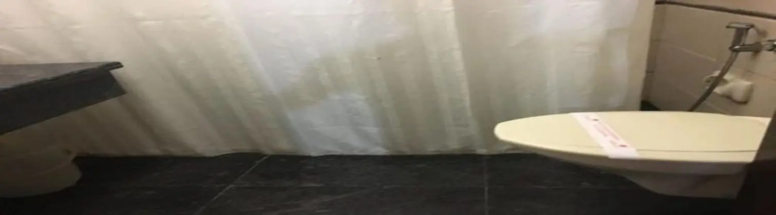 Executive Tek Büyük veya İki Ayrı Yataklı Oda, Sigara İçilmez, Özel Banyo