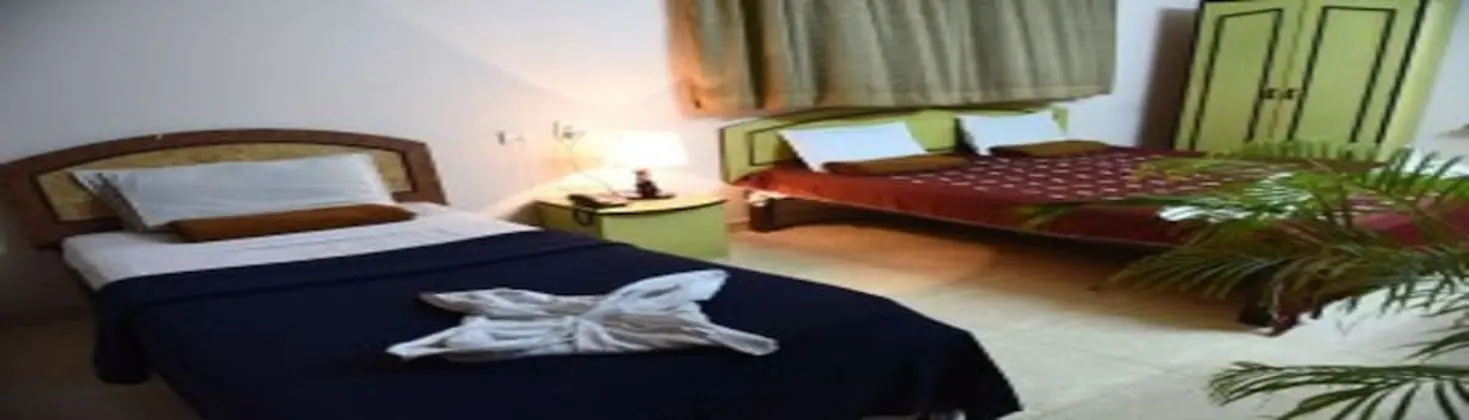 Deluxe Tek Büyük Yataklı Oda, Sigara İçilmez, Özel Banyo