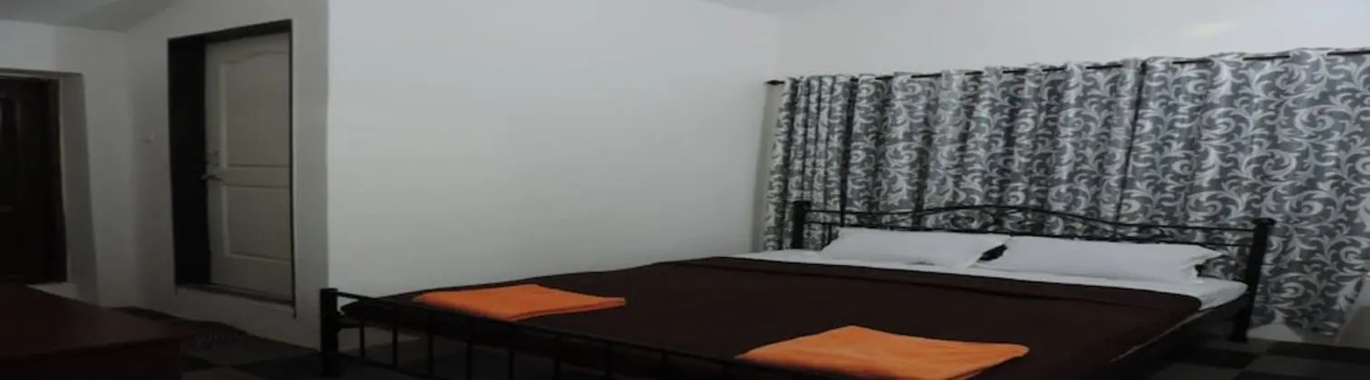 Deluxe Tek Büyük Yataklı Oda, Sigara İçilmez, Özel Banyo