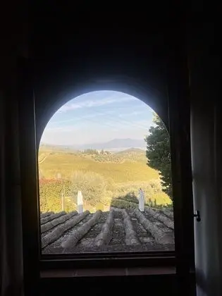 Oda, 1 Yatak Odası