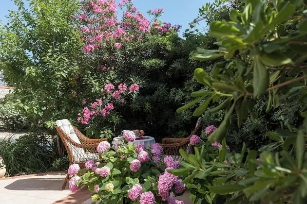 Tek Büyük Yataklı Oda (Double Room with Terrace)