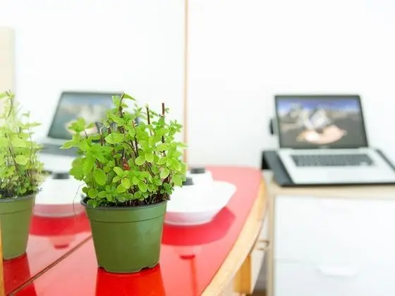 Tek Büyük Yataklı Oda, Ortak Banyo