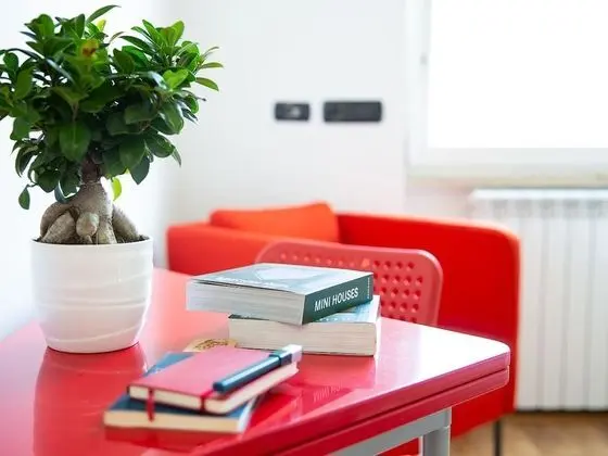 Tek Büyük Yataklı Oda, Özel Banyo