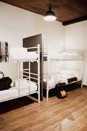Ortak Ranzalı Oda, Karma Ranzalı Oda, Ortak Banyo (1 Bed in 4 Beds Room)