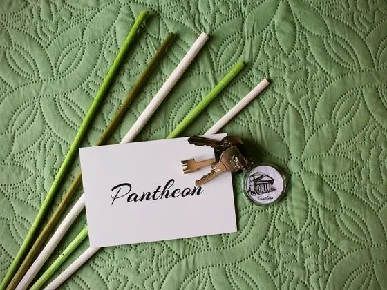 Standard Tek Büyük Yataklı Oda, 1 Yatak Odası