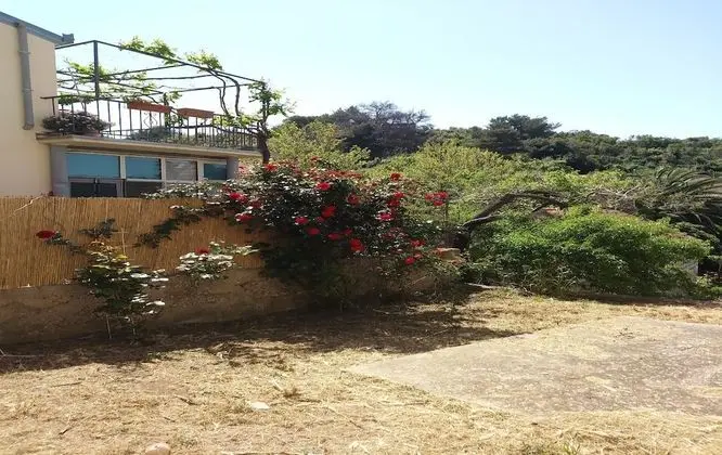 Tek Büyük Yataklı Oda (Rooms Brezak - Double Room with Share)