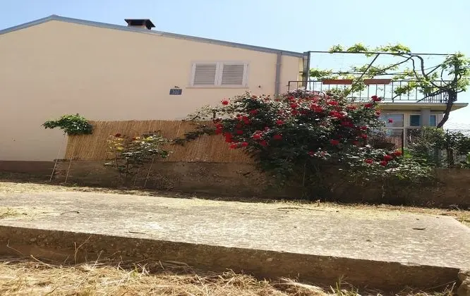 Tek Büyük Yataklı Oda (Rooms Brezak - Double Room with Share)