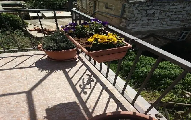 Tek Büyük Yataklı Oda (Rooms Brezak - Double Room with Share)