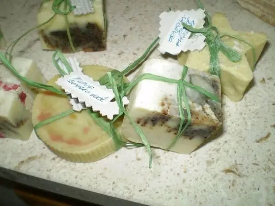 Tek Büyük Yataklı Oda (Rooms Brezak - Twin Room with Shared )