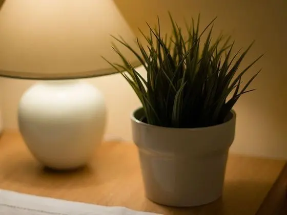 Comfort Tek Büyük Yataklı Oda, 1 En Büyük (King) Boy Yatak