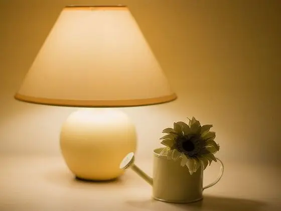 Comfort Tek Büyük Yataklı Oda, 1 En Büyük (King) Boy Yatak